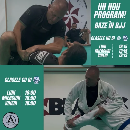 Baze in BJJ