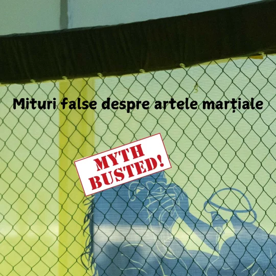 Mituri false