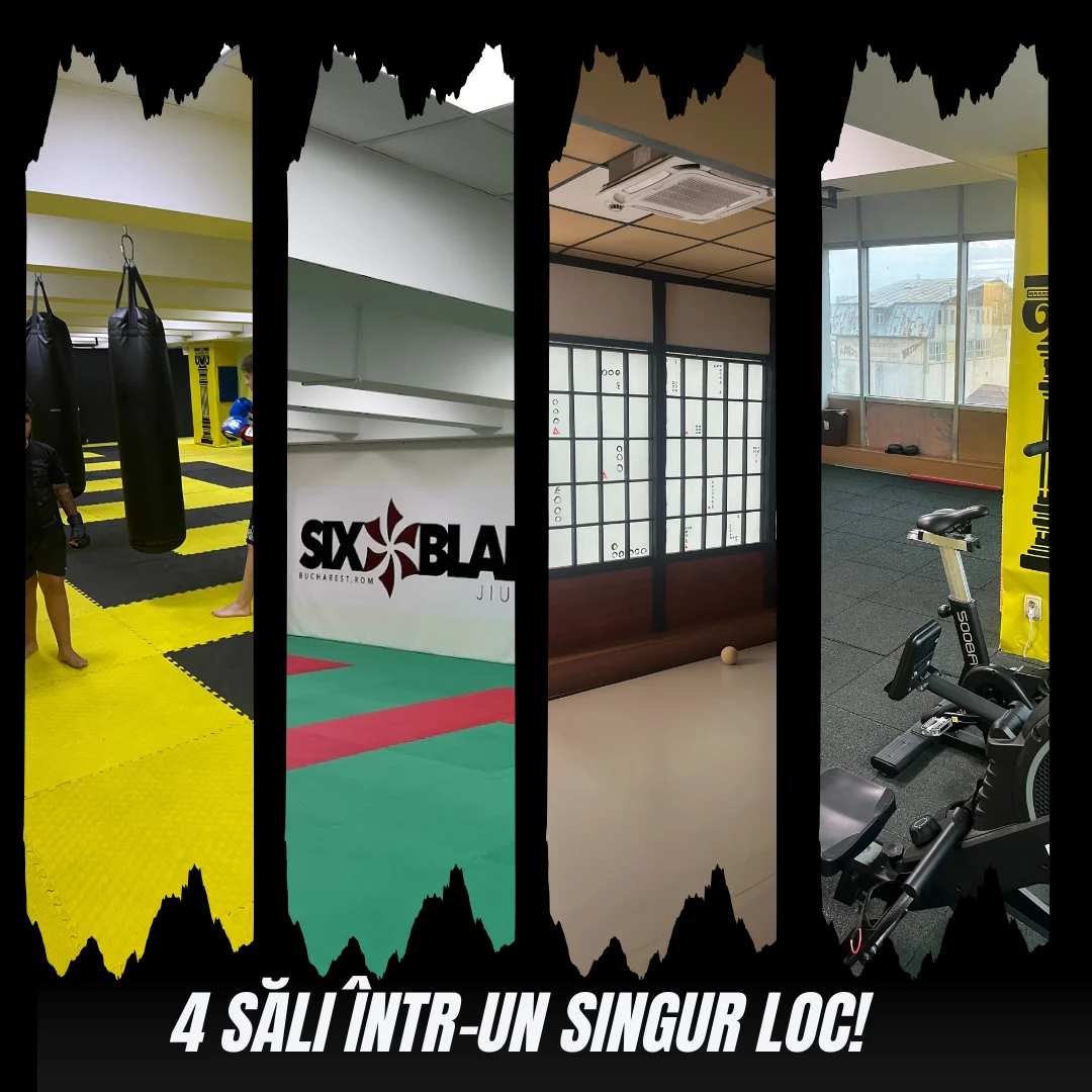 Patru sali într-un singur loc