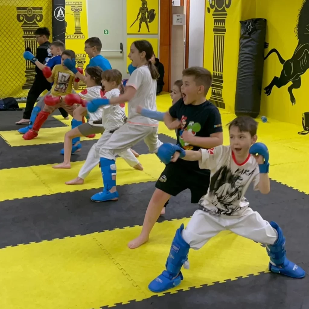 Karate AGON