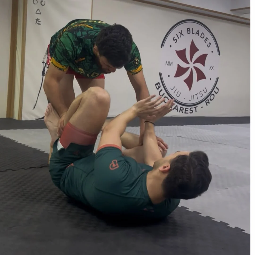 Clase de Jiu-Jitsu Brazilian zilnice
