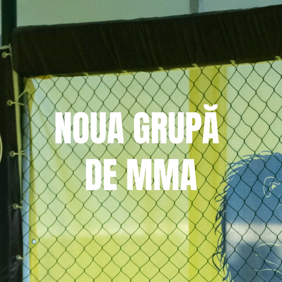 Noua grupă de MMA