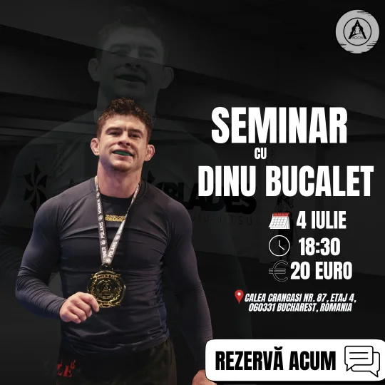 Seminar cu Dinu Bucalet