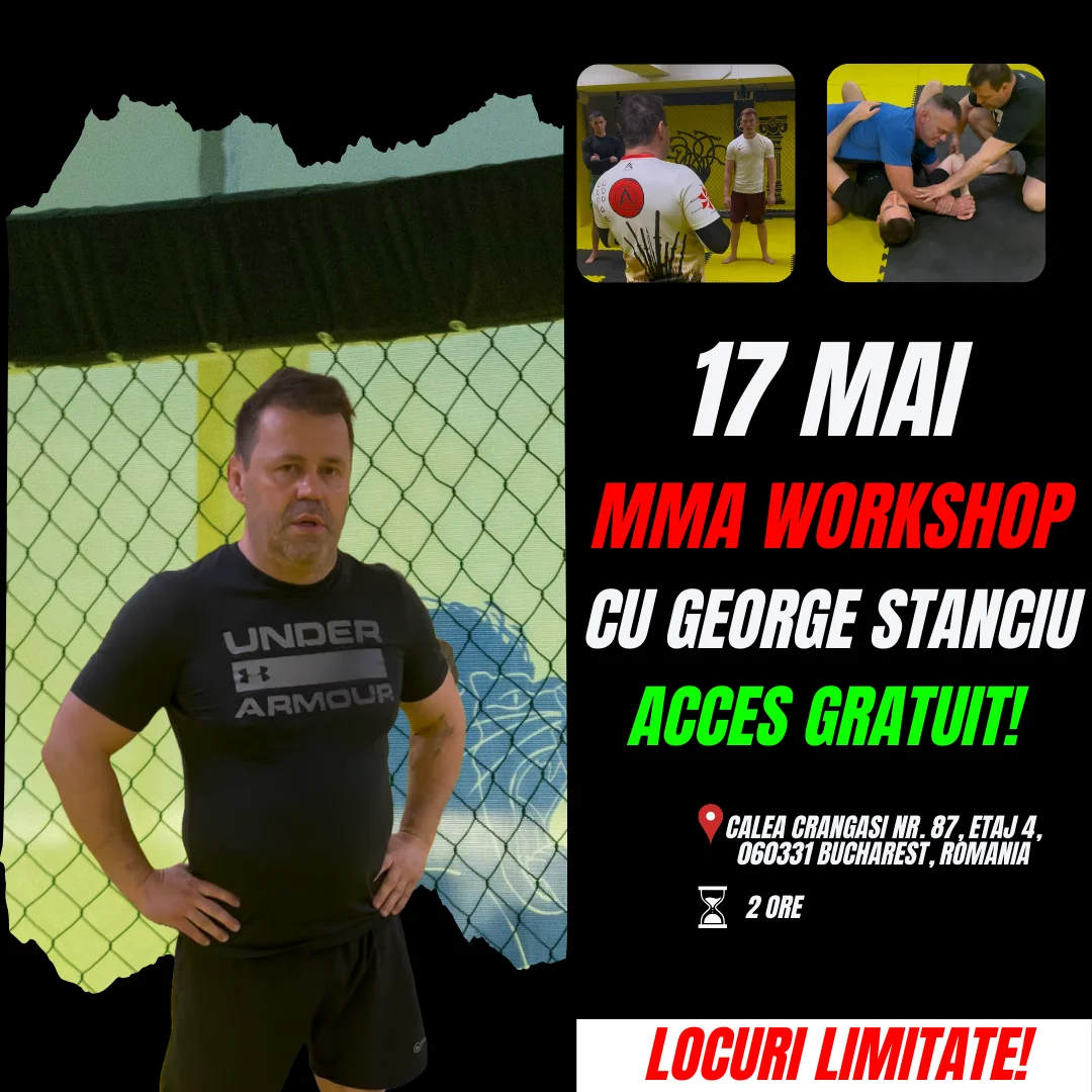 MMA Workshop